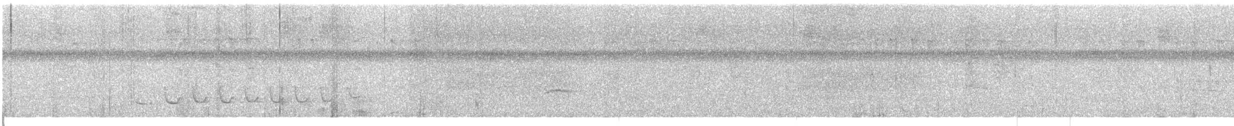 White-winged Becard - ML641087159