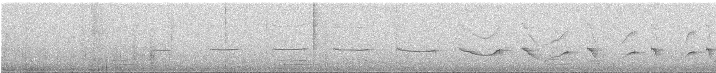 Buco Rayado (minor) - ML641087285
