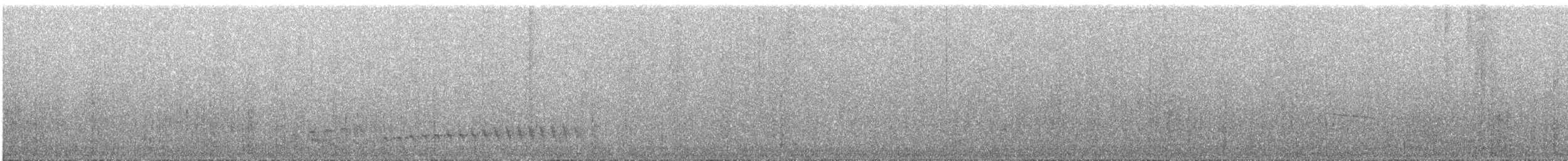 Buco Rayado (minor) - ML641087286
