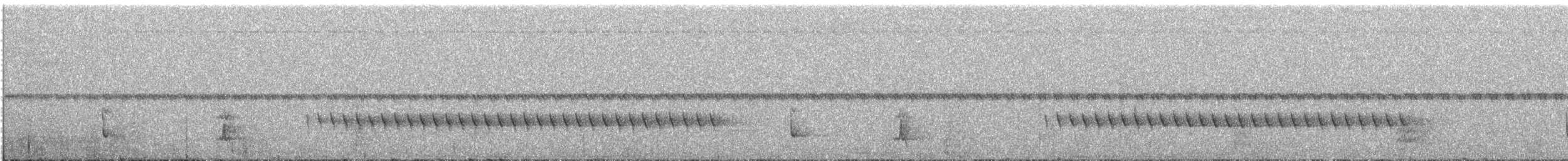 Grisin de Cayenne - ML641087519