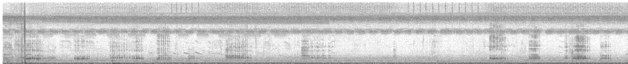 ダイサギ - ML641088208