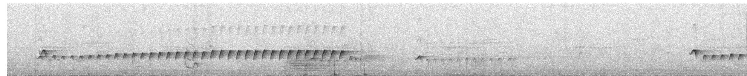 Silberameisenschnäpper - ML641088866