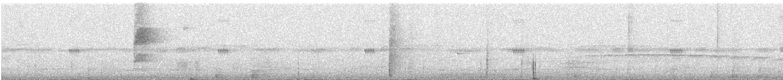 Jejenero Orejudo (snethlageae/pallida) - ML641088882