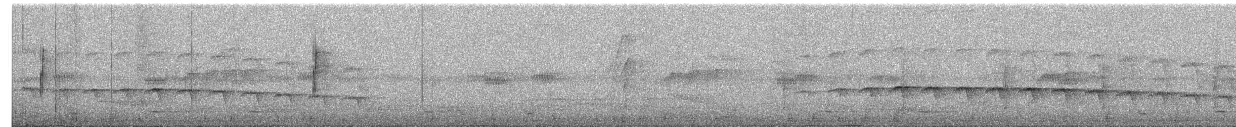 Plain-throated Antwren - ML641089033
