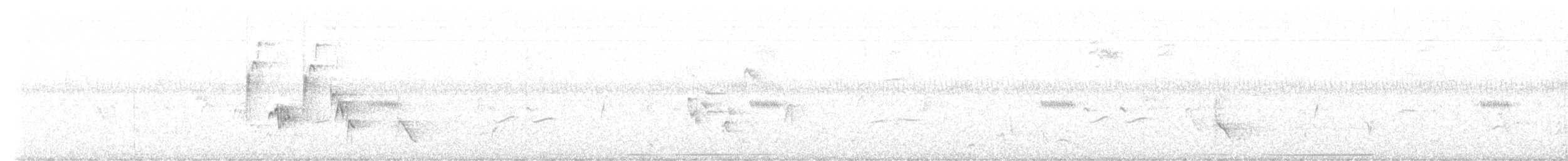 Orange-billed Nightingale-Thrush - ML641089477
