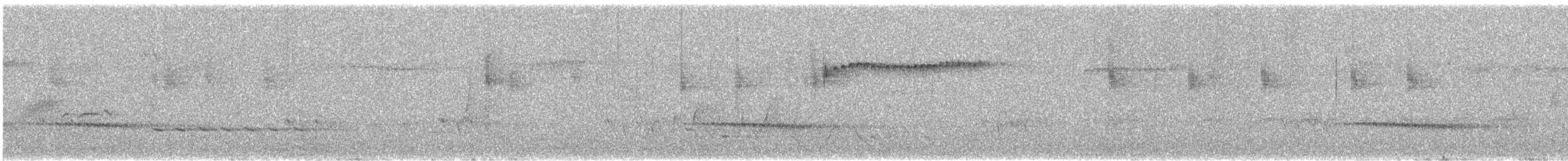 Splendid Fairywren - ML641092039