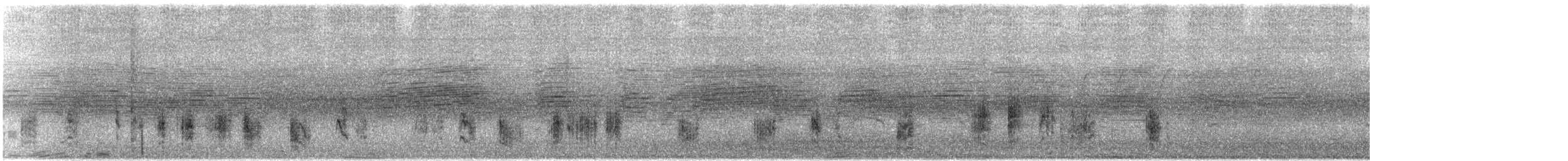 rákosník východní - ML641095510