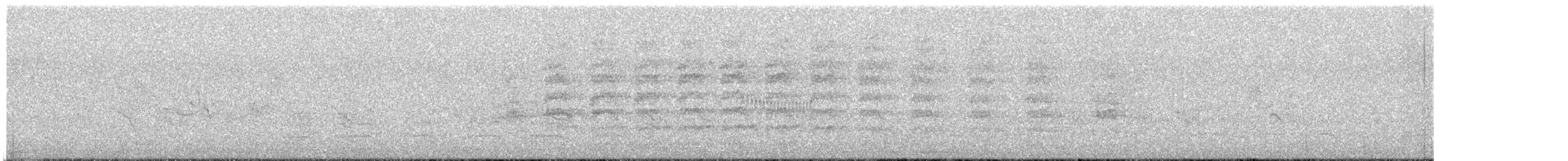 Southern Lapwing (chilensis/fretensis) - ML641095716