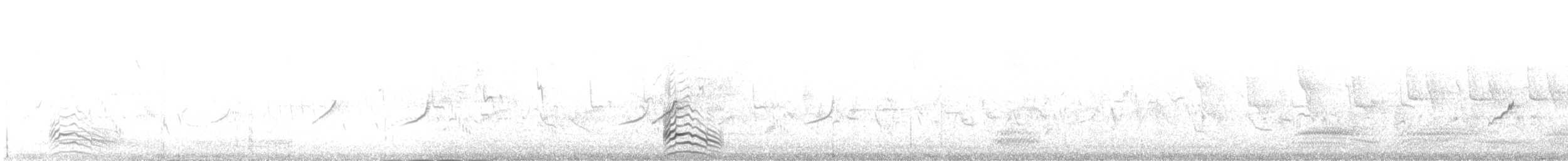 Schwarzkopfmöwe - ML641099355