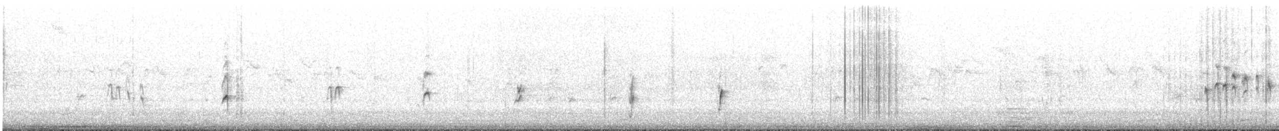 Cape Sugarbird - ML641099812