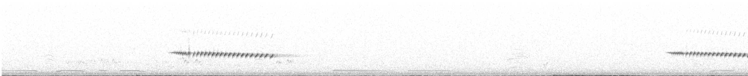コシアカヒバリモドキ - ML641102931