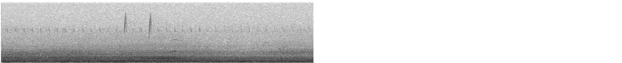 Black-throated Blue Warbler - ML641105084