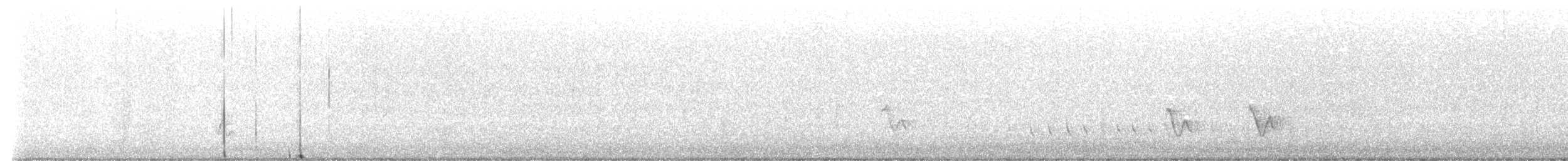 Black-whiskered Vireo - ML641107669