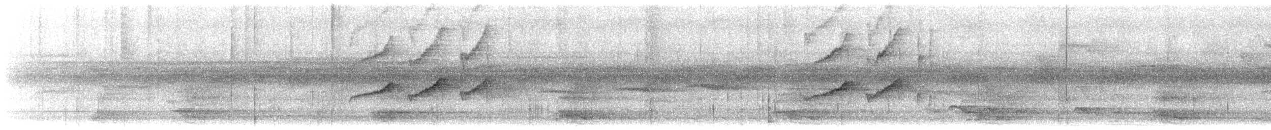 Wedge-billed Woodcreeper - ML641109069