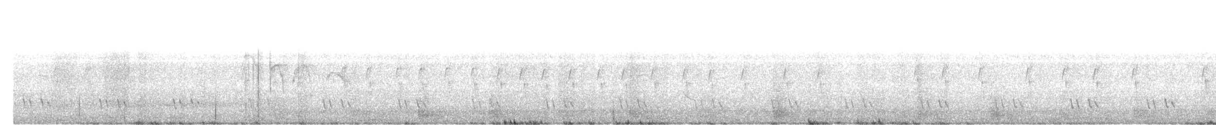 Blue-eared Barbet - ML641109993