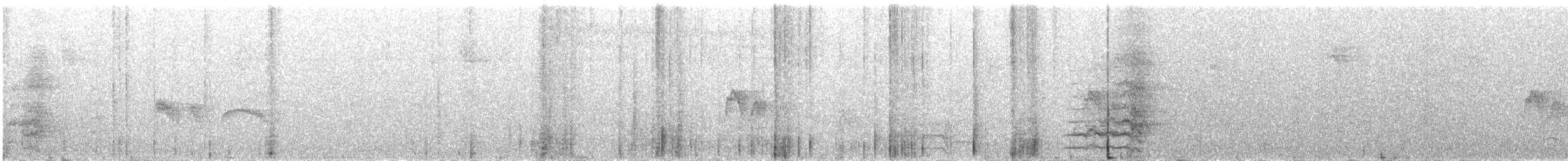 Cuban Amazon - ML641112917