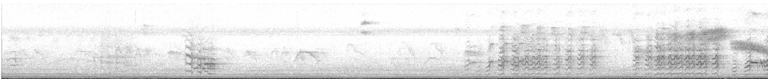 Cuban Amazon - ML641112919