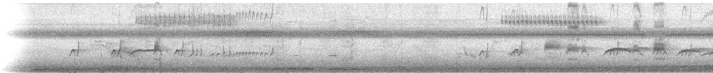 La Sagra's Flycatcher - ML641113196