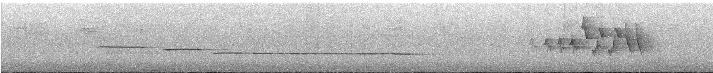 White-throated Sparrow - ML641113554