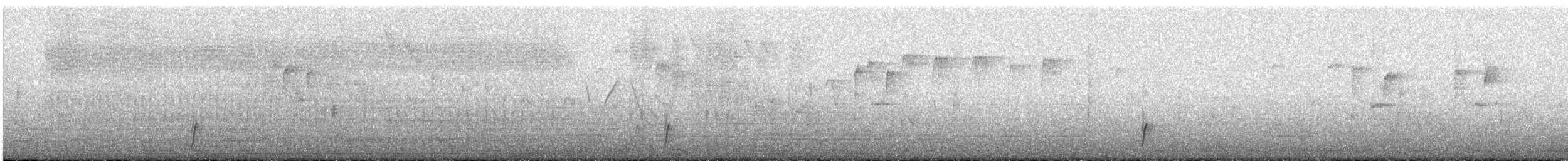 Swainson's Thrush - ML641114042