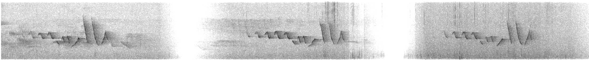 Northern/Mangrove Yellow Warbler - ML641114654