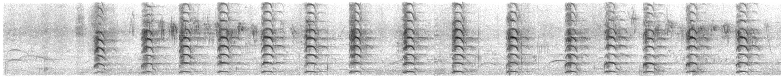Southern Lapwing - ML641117864