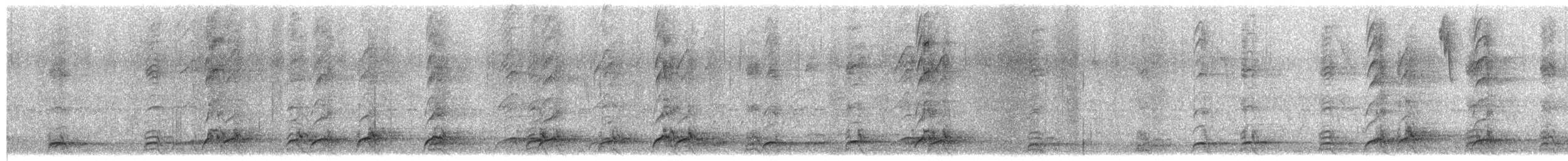 Slaty-breasted Wood-Rail - ML641118053