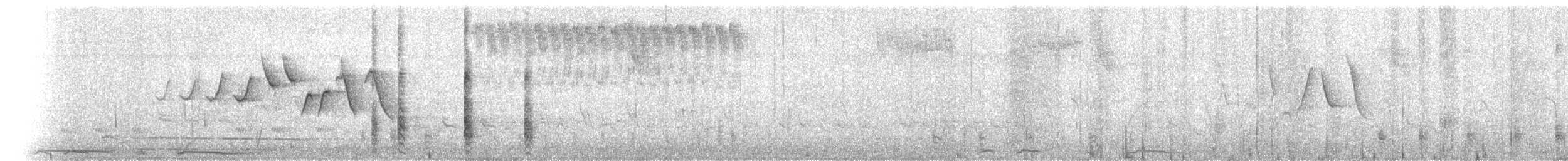 Northern/Mangrove Yellow Warbler - ML641118427