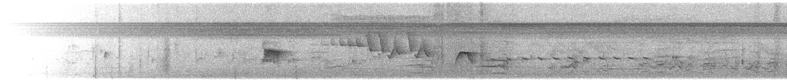 Northern/Mangrove Yellow Warbler - ML641118429