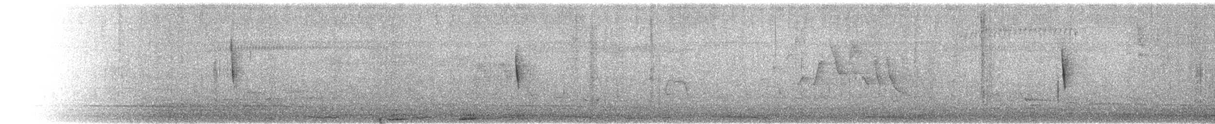 Northern/Mangrove Yellow Warbler - ML641118430