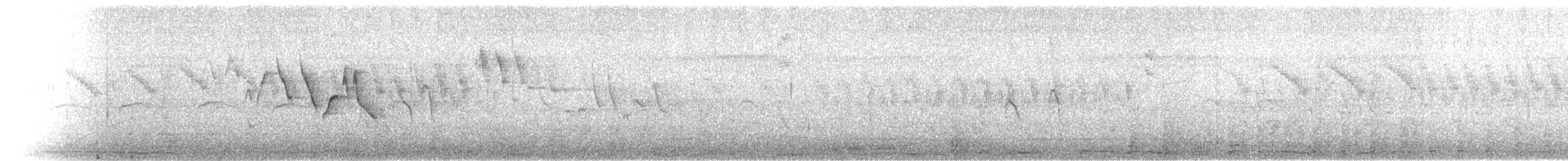 Northern/Mangrove Yellow Warbler - ML641118433