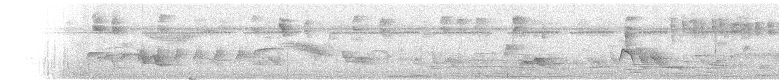 Yucatan Vireo - ML641118603