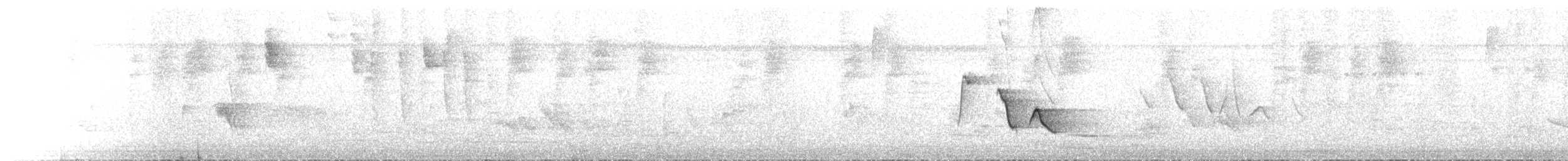 Yucatan Vireo - ML641118651