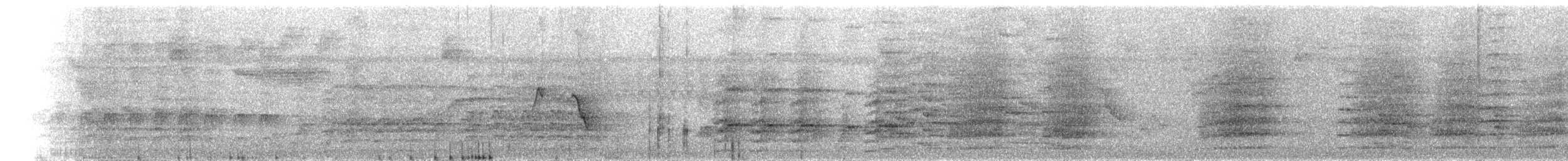 Cuban Amazon - ML641119118