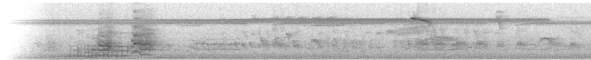 Cuban Amazon - ML641119123