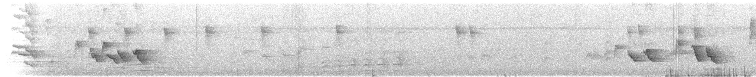 Yucatan Vireo - ML641119380