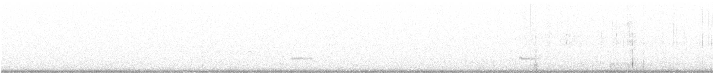 Chorlito Carambolo - ML641119472