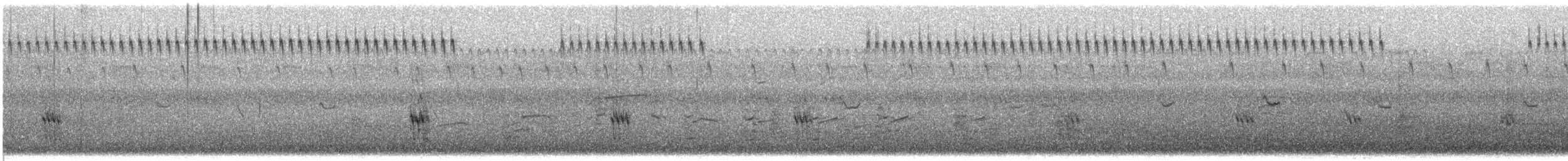 Pectoral Sandpiper - ML641120511