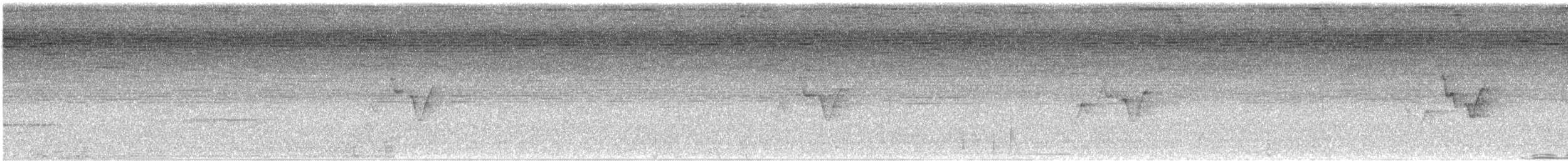 メジロヒメモズモドキ - ML641124264