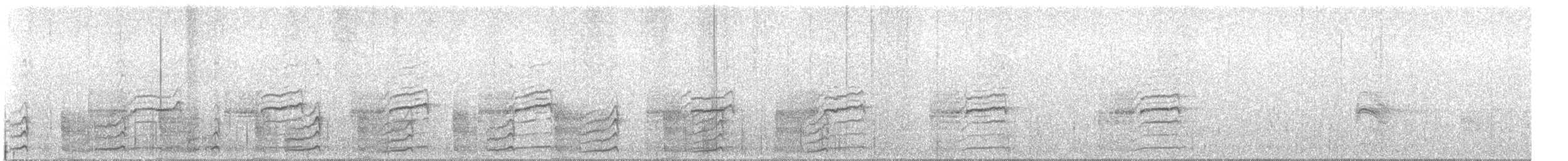 Lewin's Rail - ML641125562