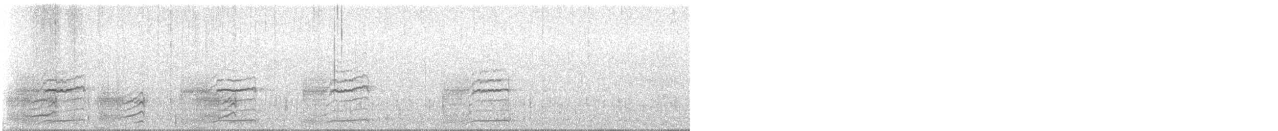 Lewin's Rail - ML641125563