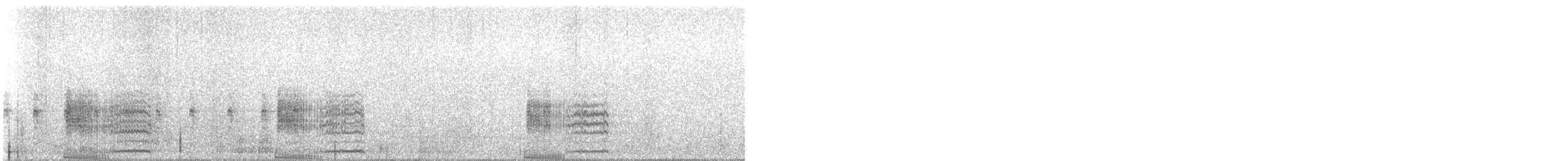 Lewin's Rail - ML641125734