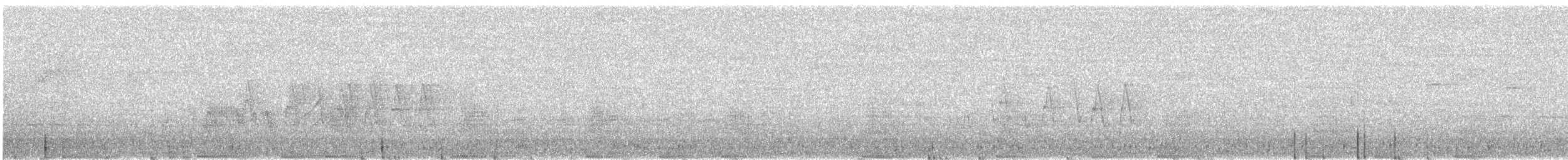 Lewin's Rail - ML641126153