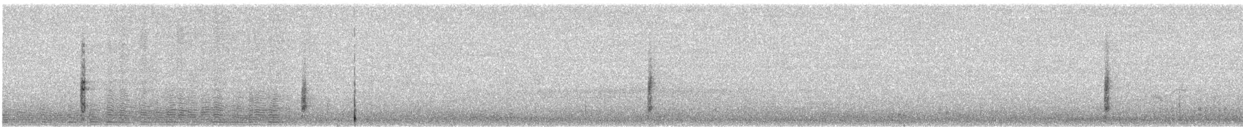 Lewin's Rail - ML641126646
