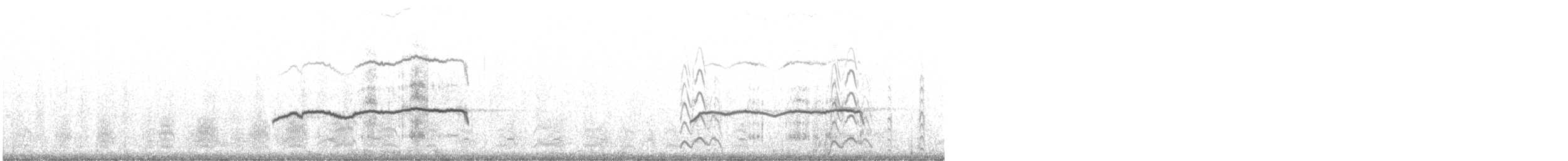 Sterne caspienne - ML641128702