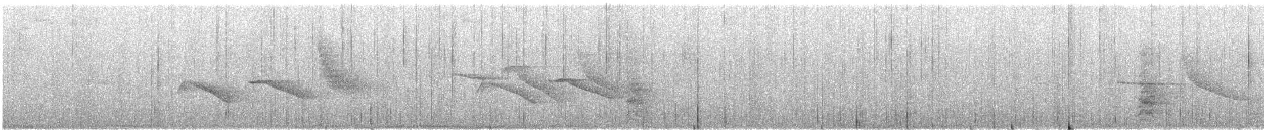 Streak-headed Antbird - ML641130316