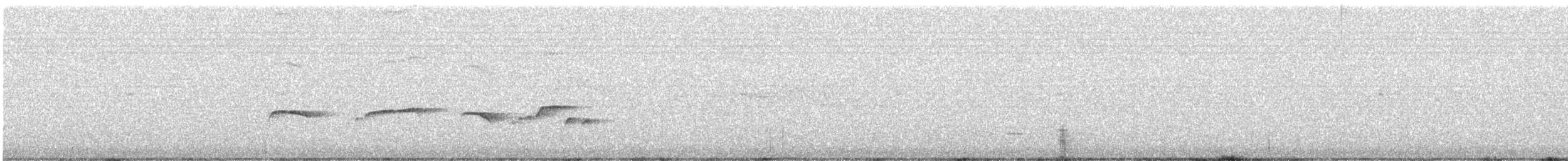 Southern Antpipit - ML641131292