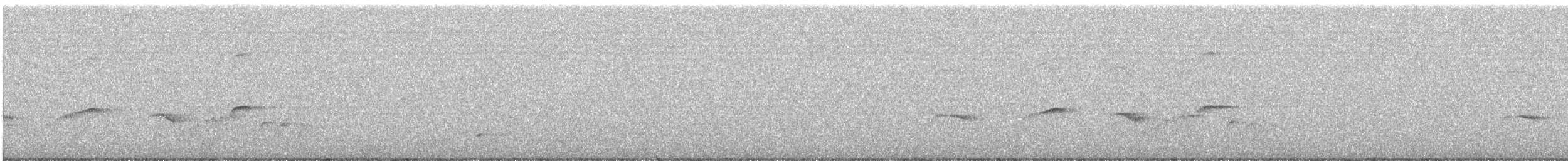 Southern Antpipit - ML641131421