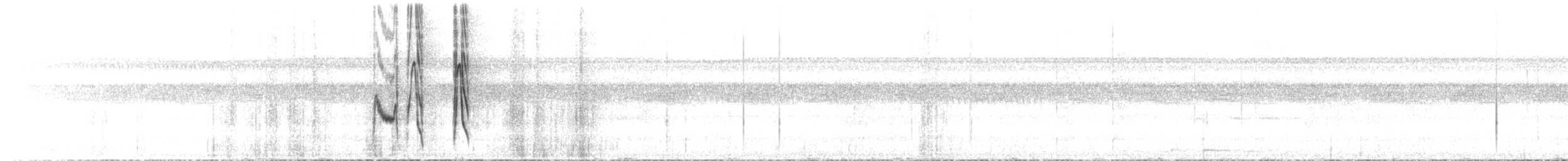 Dusky-throated Antshrike - ML641138362