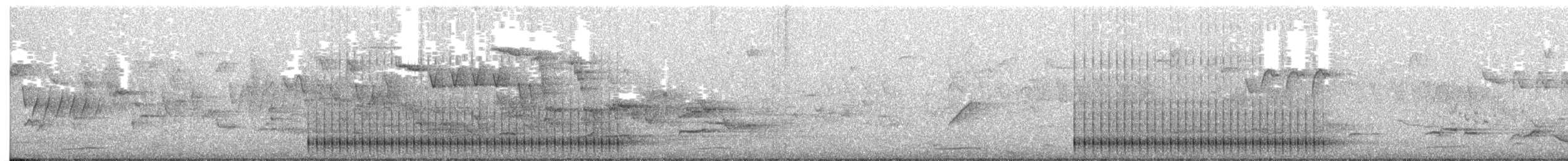 Цоохор тоншуул - ML641138545